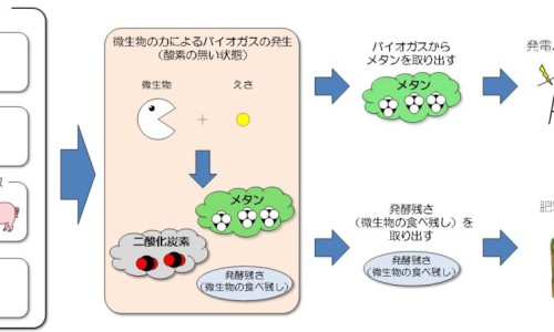 经期染头发的临床表现-经期染头发对身体有没有影响-经期染头发的危害,中国经期间染发会怎么回事网站